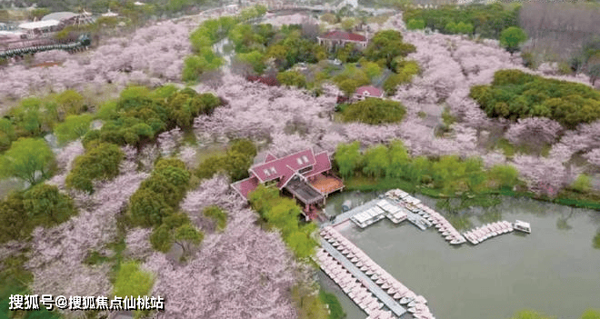 代乐章】正在认购中！约89-126m²3房精装修交付尊龙凯时链接380万级必看！7号线TOD红盘【招商时(图39)